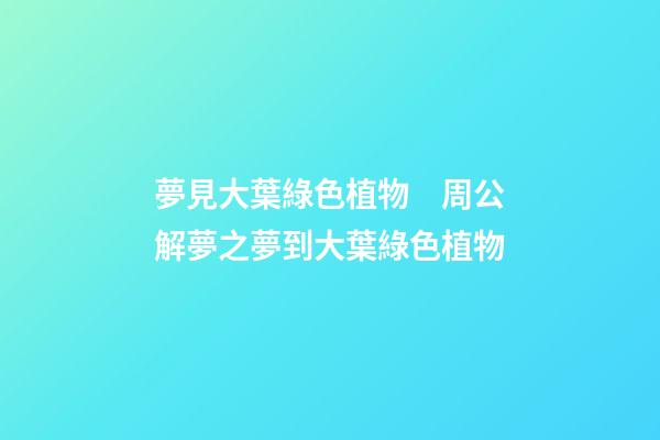夢見大葉綠色植物　周公解夢之夢到大葉綠色植物